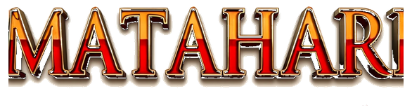 matahari 4d logo
